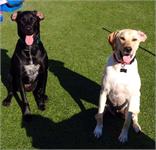 daycare pic 23 - benson and eames